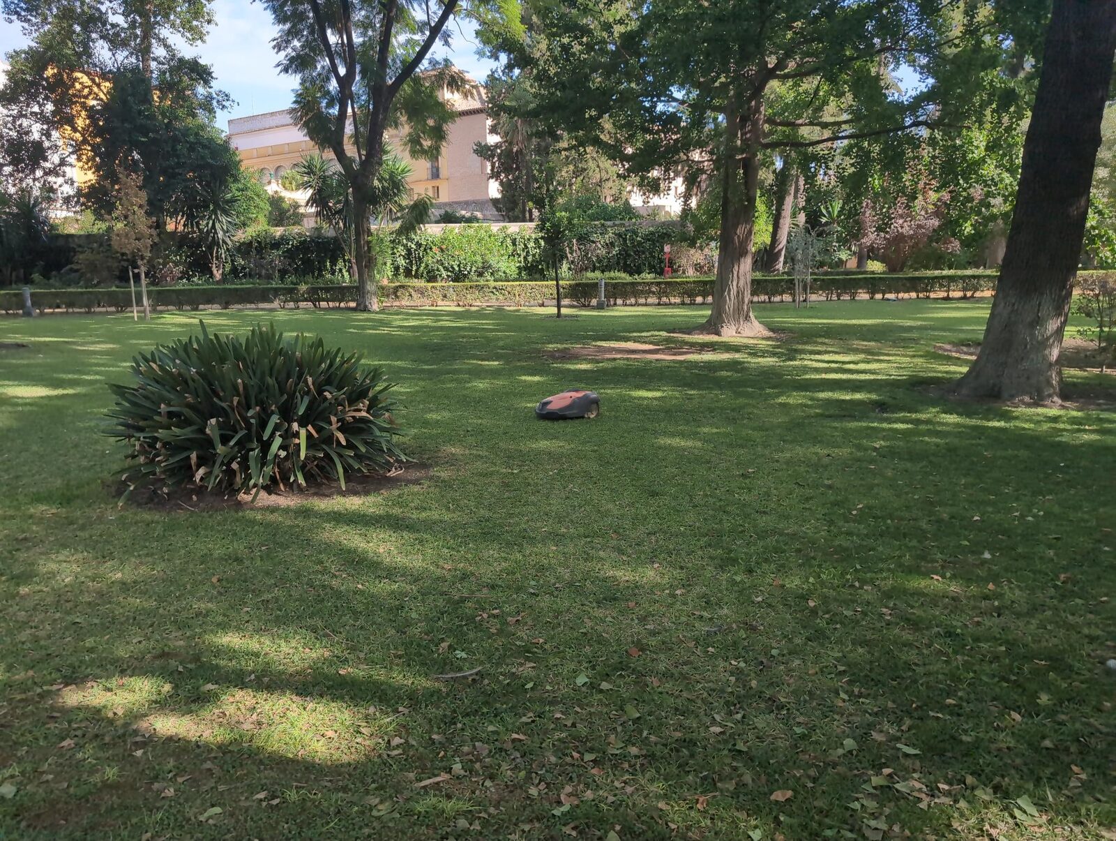 A robot lawn mower on a shaded lawn in the Alcázar gardens
