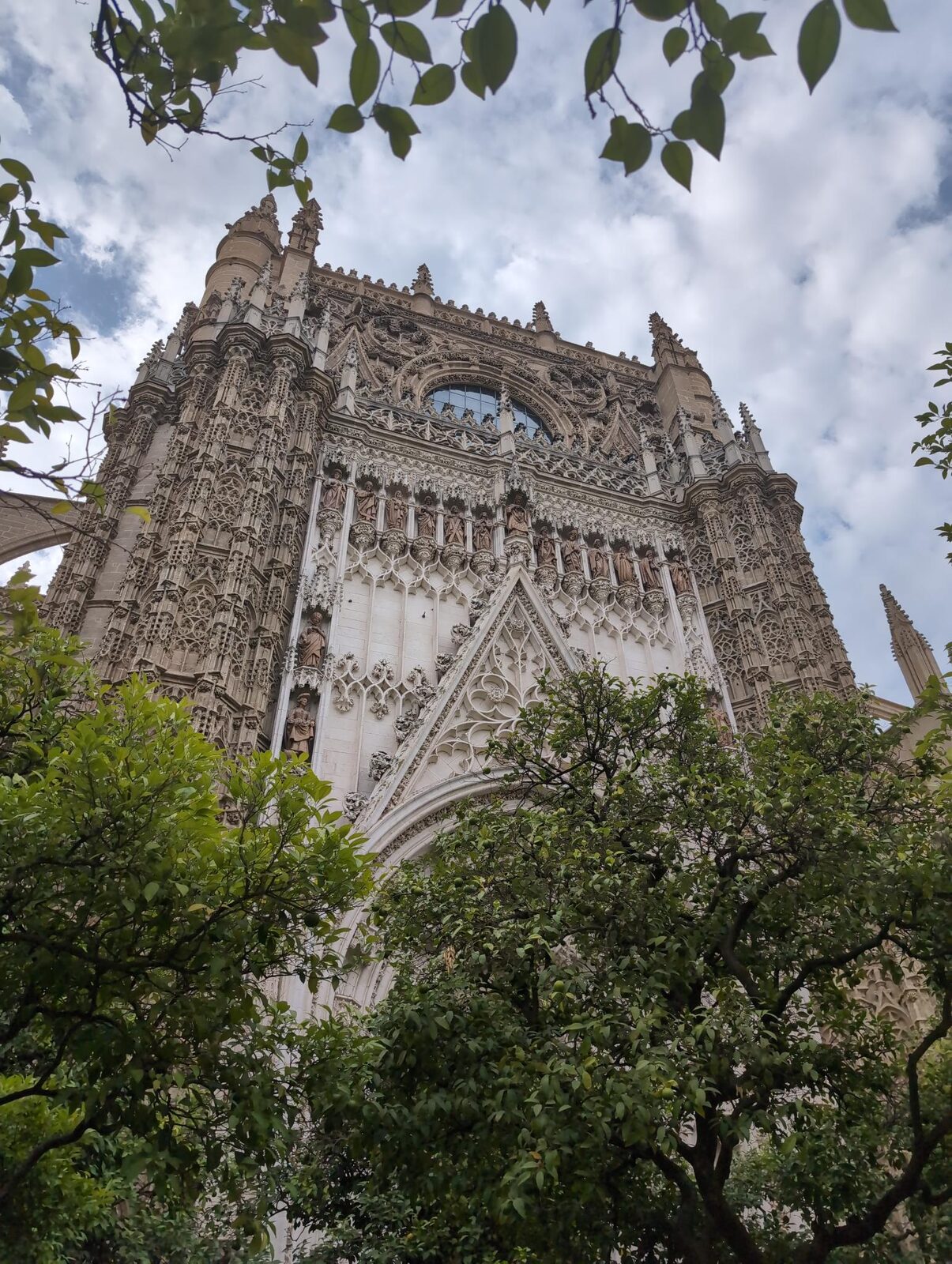 The ornate facade of Seville Cathedral framed by leafy trees