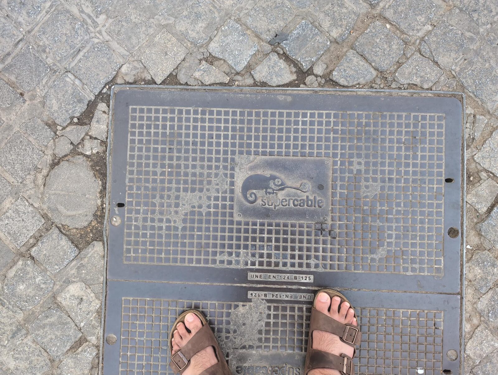 A Supercable utility cover with a curled-tail gecko logo, surrounded by cobblestones
