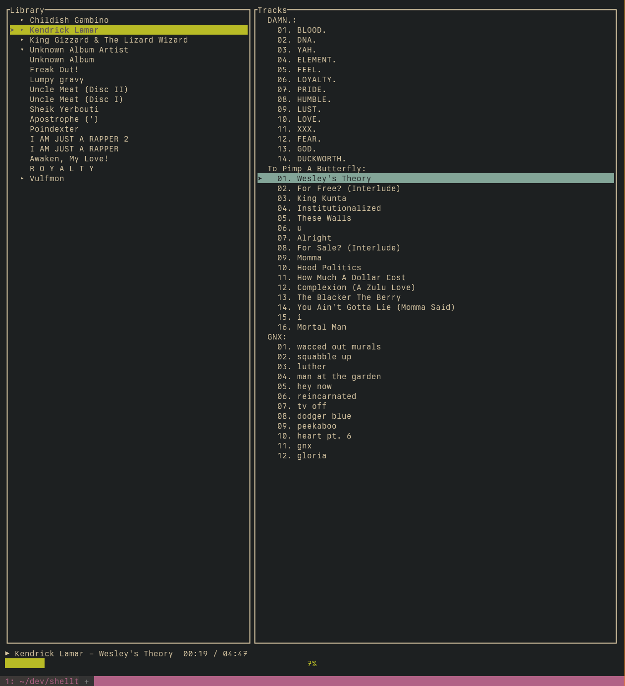 A screenshot showing a libray view of a CLI music player