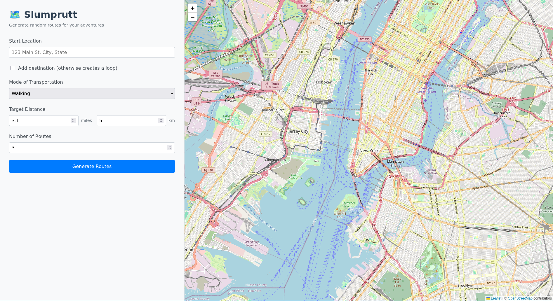 Initial interface with form inputs